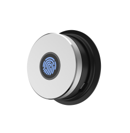 Fingerprint MSL - Отпечаток пальца  для замка Motor Smart Lock, ver. 4941