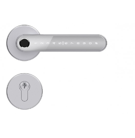 Комплект Home Fast SILVER с врезной частью 55/72 (235x22) - умный замок для апартаментов и домохозяйств, ver. 4106