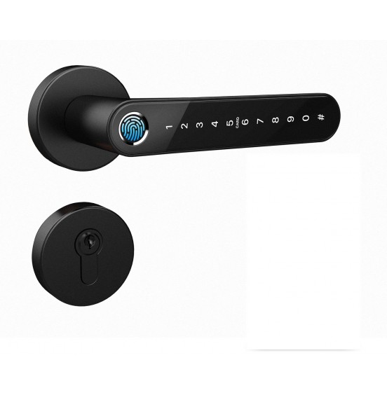 Комплект Home Fast BLACK с врезной частью 50/85 (240x22) - умный замок для апартаментов и домохозяйств, ver. 4127