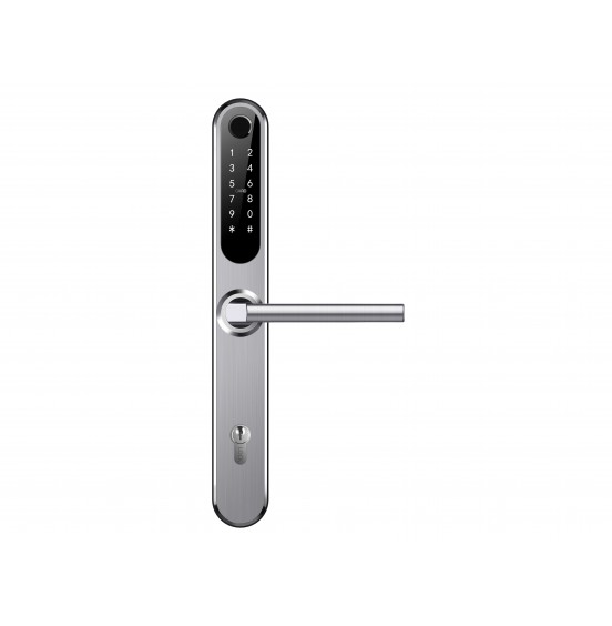 Комплект Home Slim SILVER с врезной частью 60/85L (300x28) - умный замок для апартаментов и домохозяйств, ver. 4237+6085L